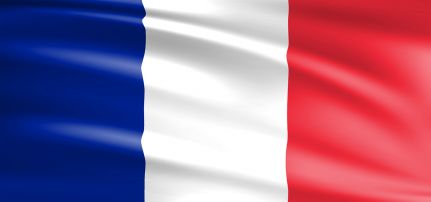 Francia Zászló 90*150cm